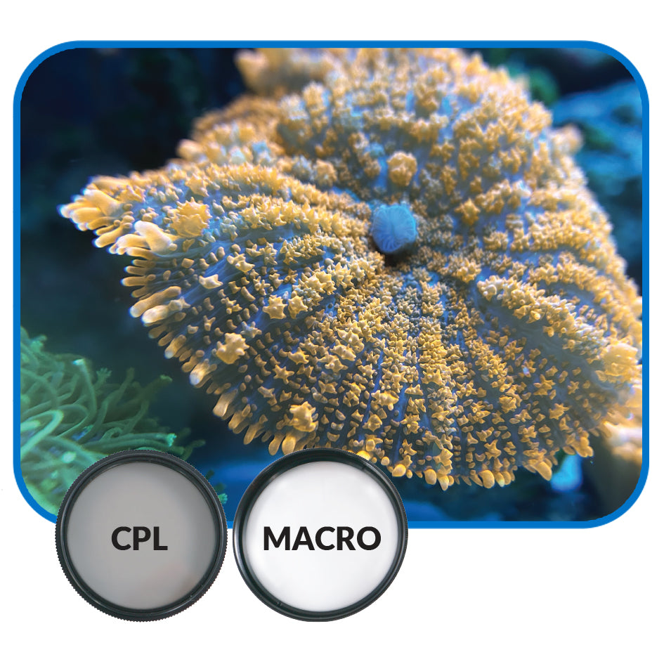 Mobile Phone Stackable Filter Lens Kit - IceCap