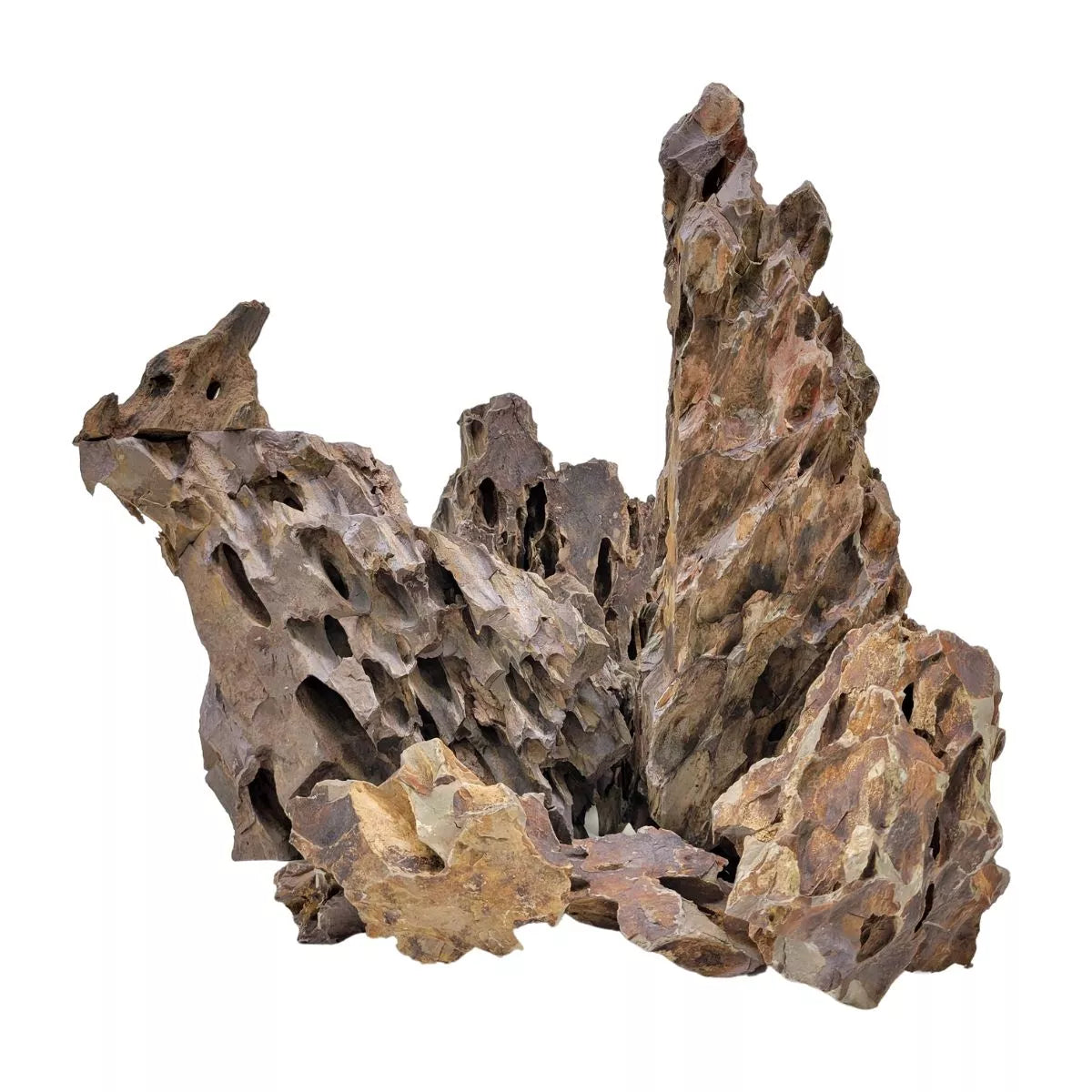 Live Dragon Stone Large - JBJ