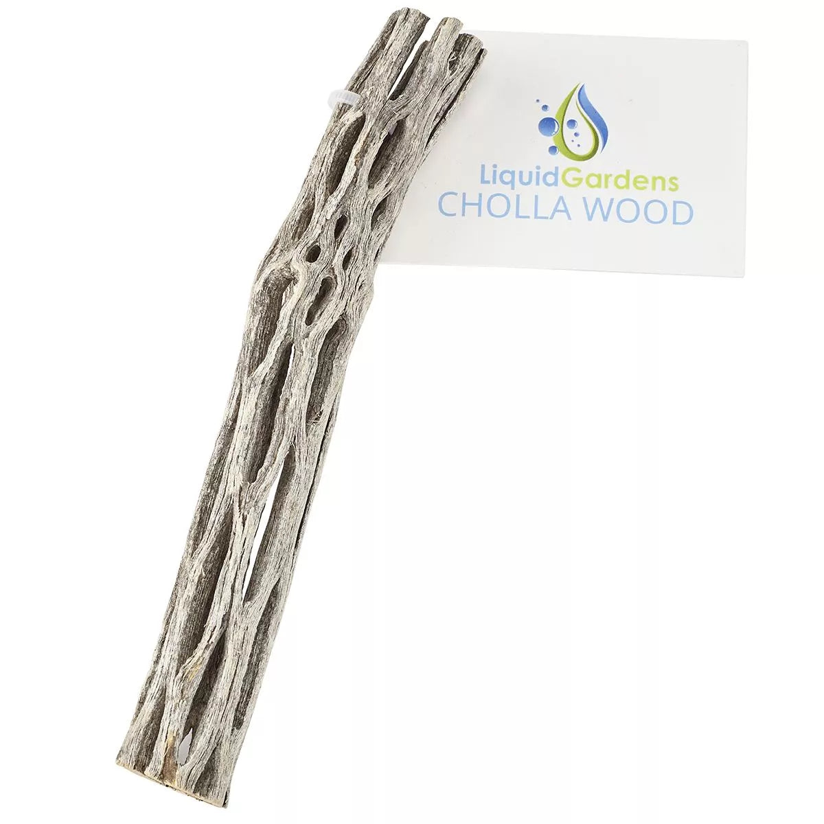 Liquid Gardens Cholla Wood 12 inch