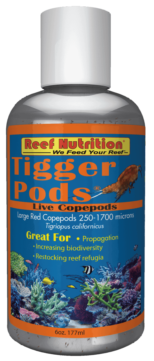 Tigger Pods 6oz (Live) - Reef Nutrition