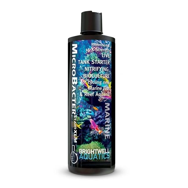 MicroBacter Start XLM 125ml - Brightwell Aquatics