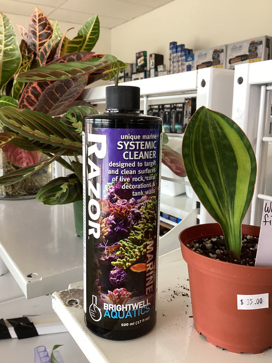 Razor Brightwell Aquatics 500ml