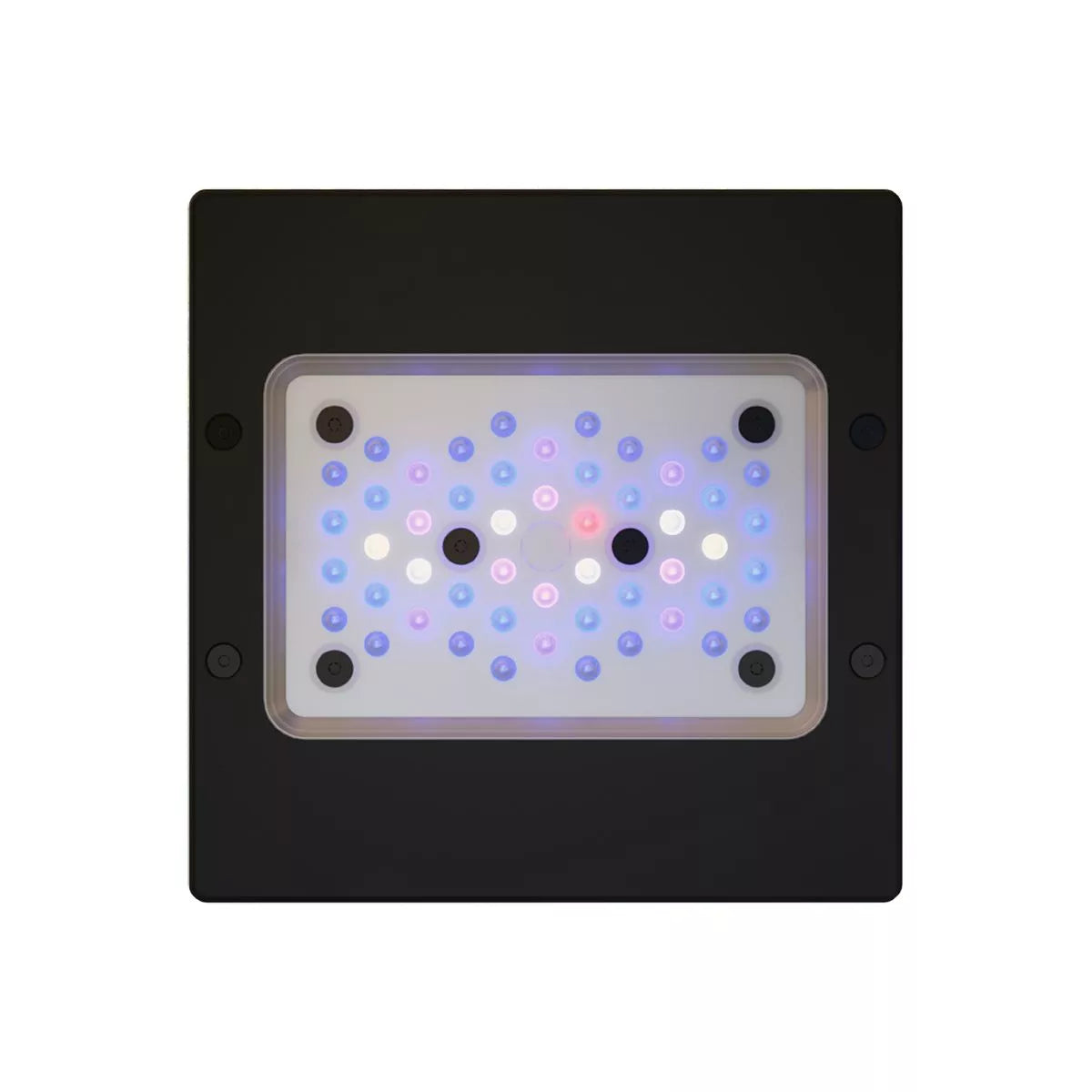 Radion XR15 G6 Blue LED Light Fixture - EcoTech Marine