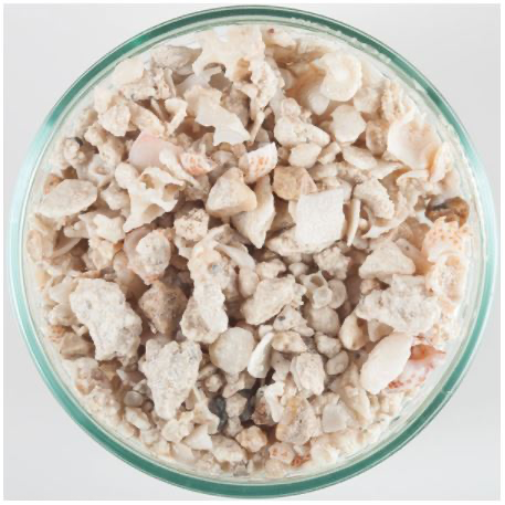 Florida Crushed Coral 40lb - CaribSea