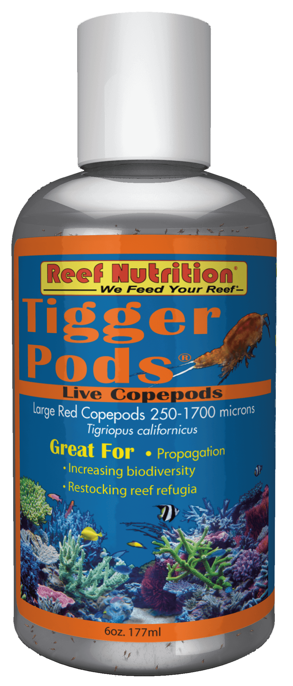 Tigger Pods 6oz (Live) - Reef Nutrition