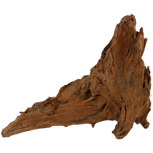 Malaysian Drift Wood - JBJ - Medium